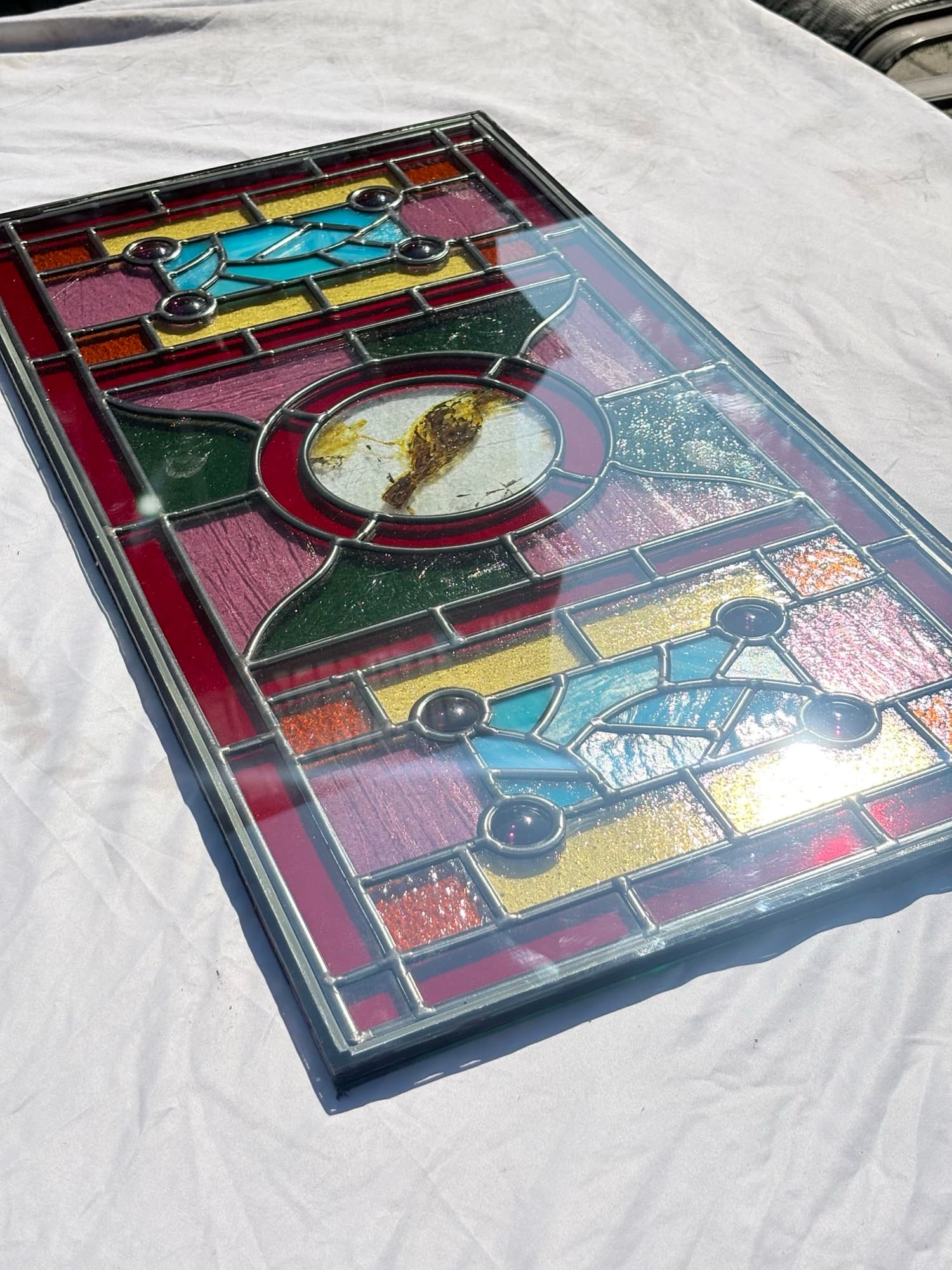 Ornate Medallion Panel Encapsulation